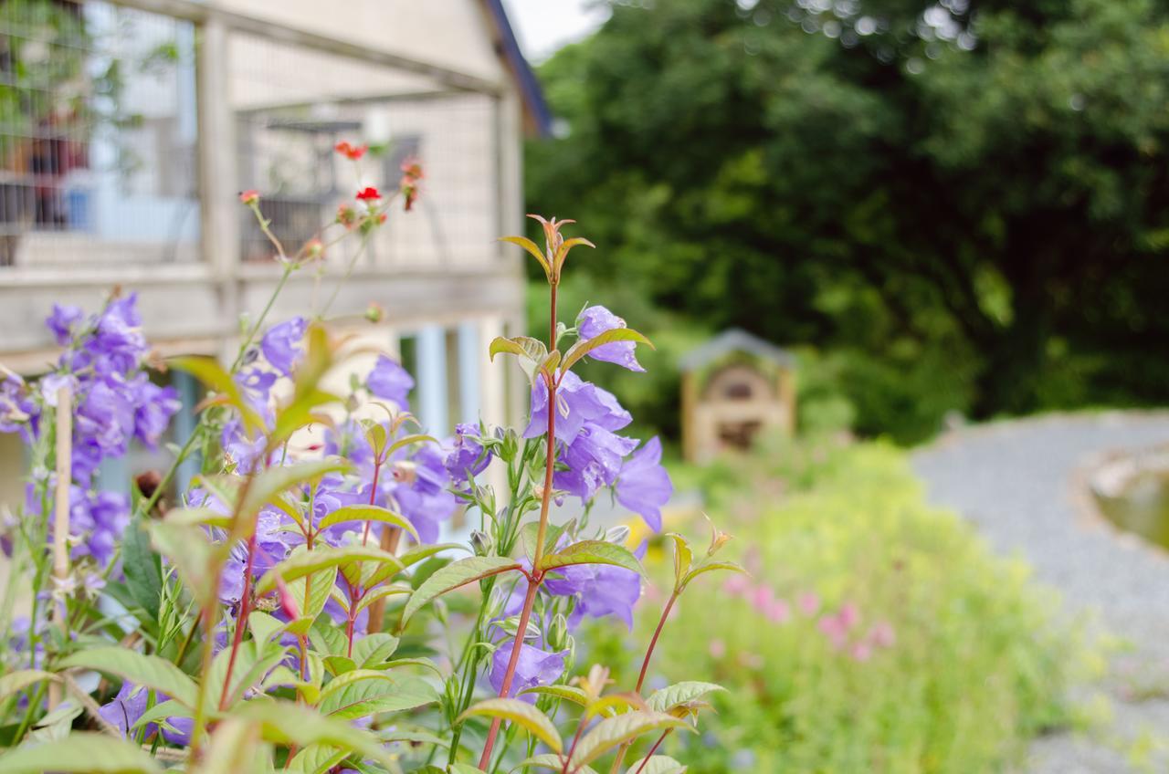 Furzedon B&B Merton  Extérieur photo